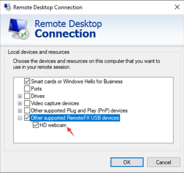 configurare il reindirizzamento del dispositivo USB remotefx