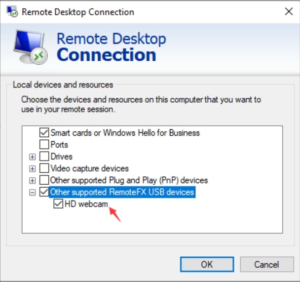 Remotefx-USB-Geräteumleitung konfigurieren