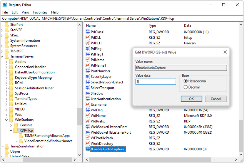 Enable Audio Capture