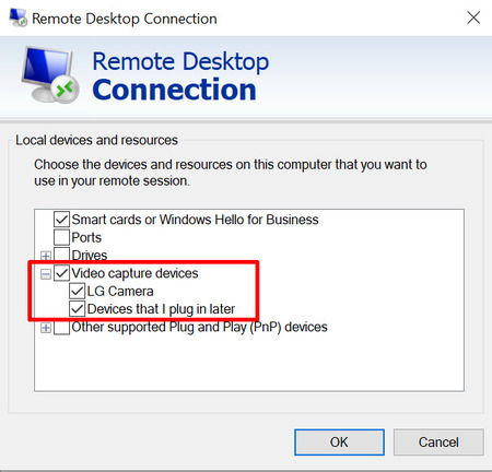 use webcam over remote desktop