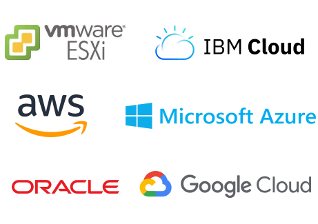 Virtualization and cloud software and providers. VMware ESXi, IBM Cloud, AWS, Microsoft Asure, Oracle, and Google Cloud.